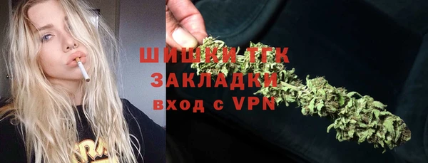 бошки Алексин