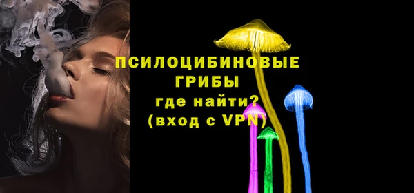 ешки Алексеевка