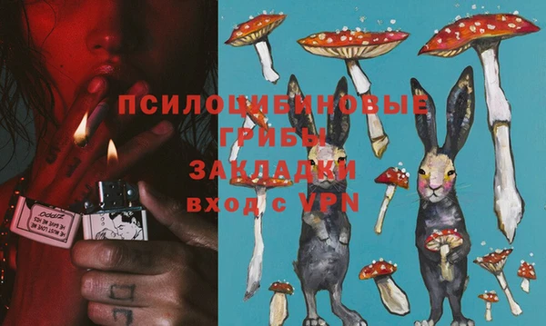 бошки Алексин